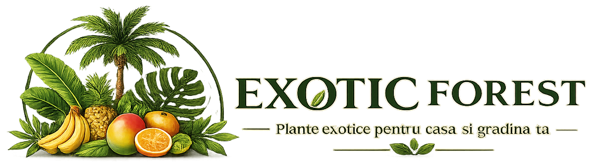 Exotic Forest